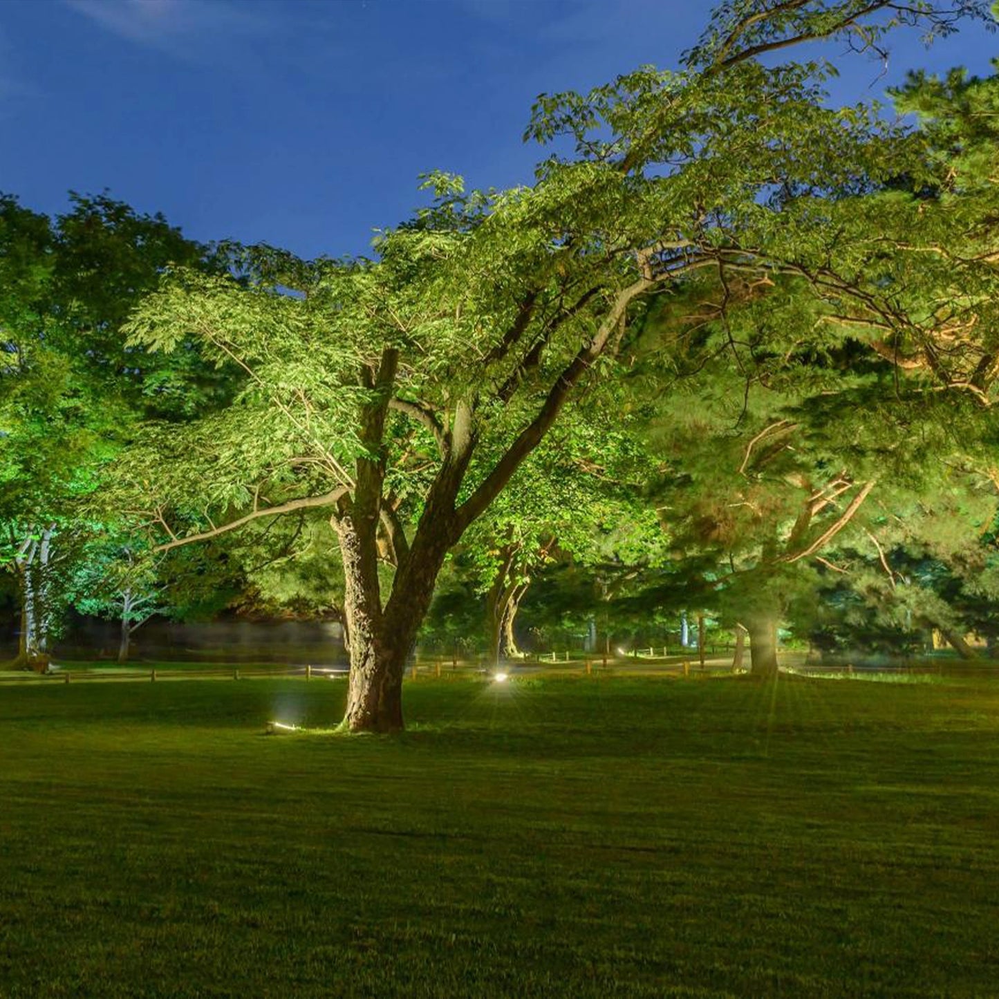 garden lights