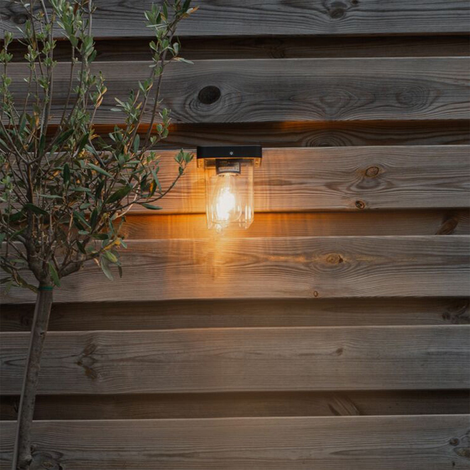 Outdoor LED light fixture