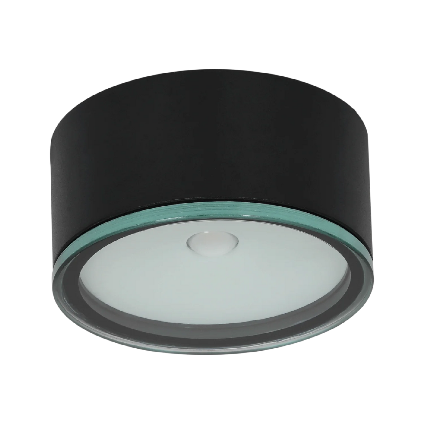 Ultralight Outdoor LED Surface Mounted IP65 (BD390)