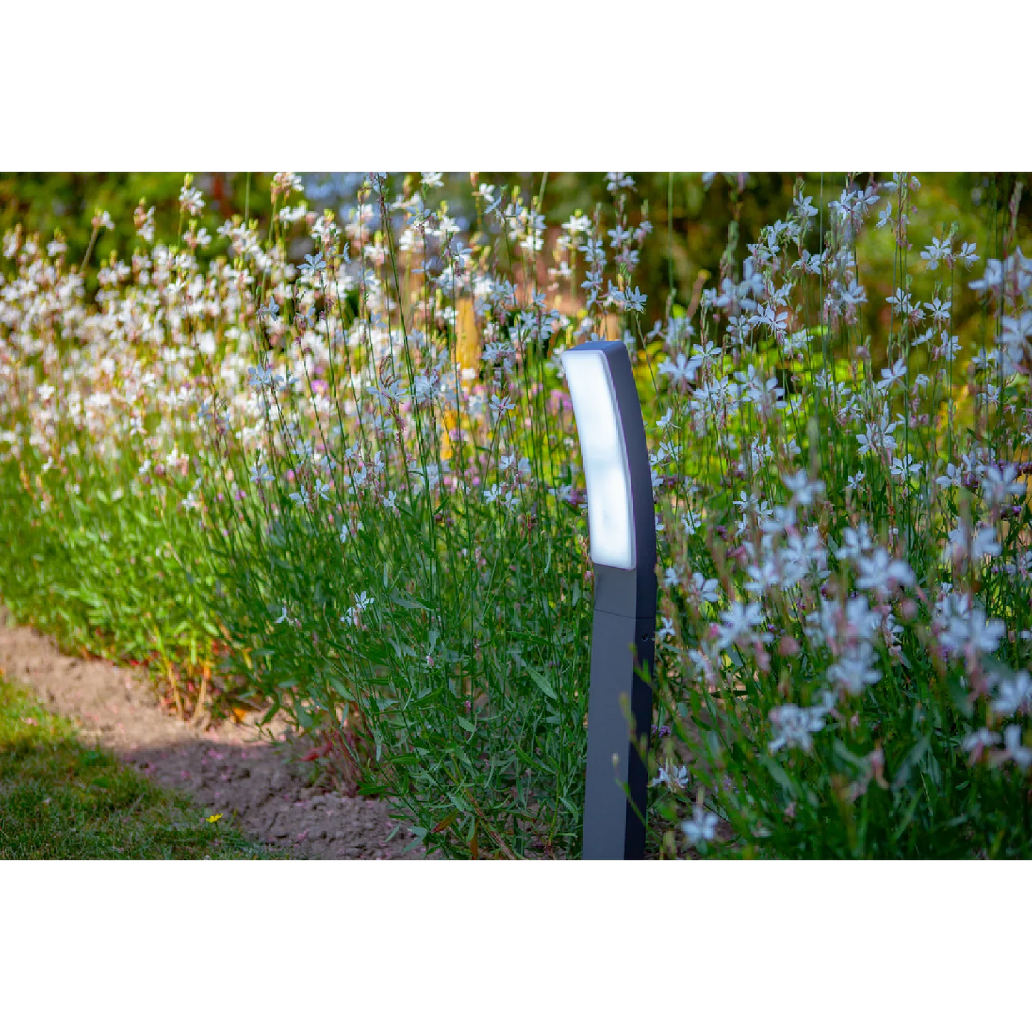 LED Pole Lights