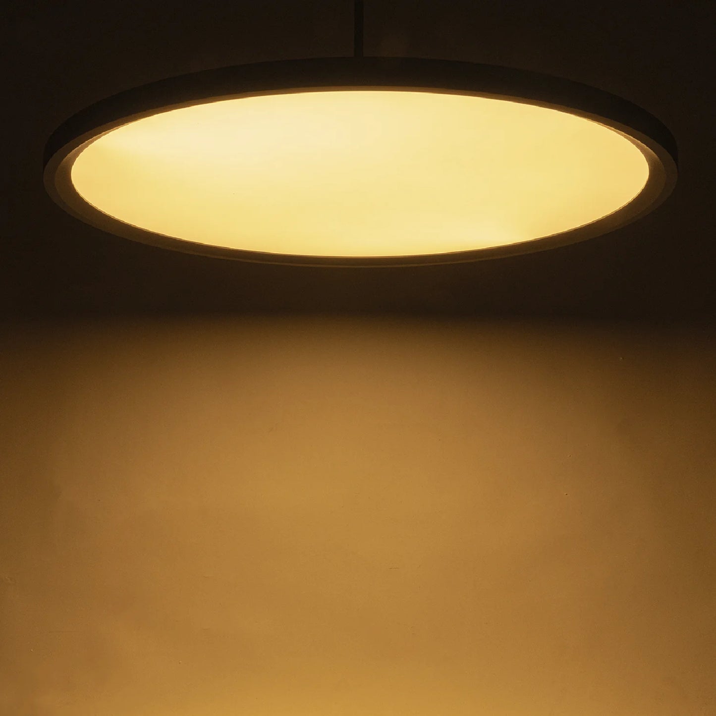 LED Pendant Light (BR6129) – Modern Suspended Decorative Ring Light with High CRI, Osram LED Chip, and Opal Diffuser