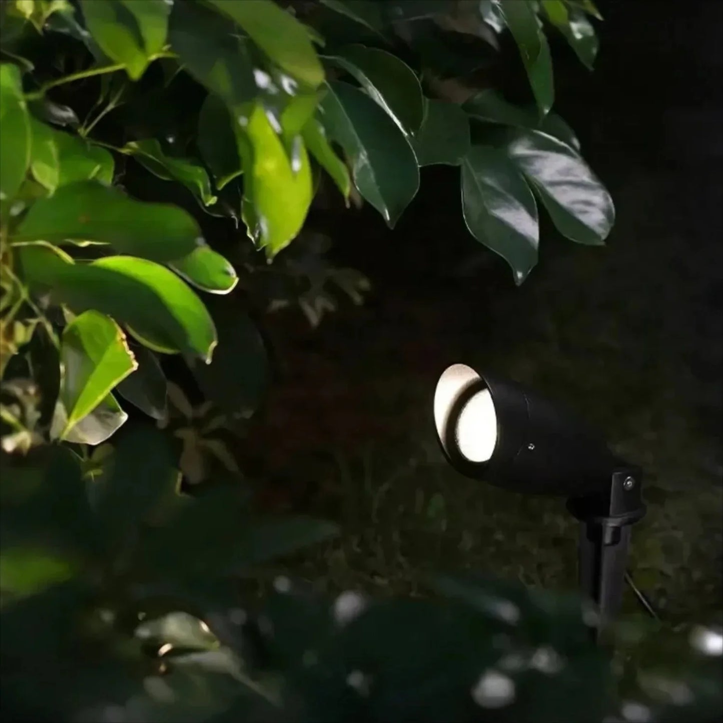 modern inground LED fixture