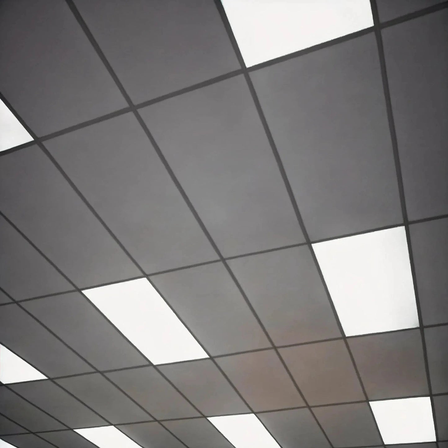 Light