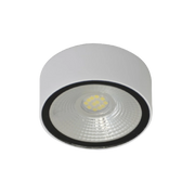 Ultralight Outdoor LED Surface Mounted 8W IP54 (BR2274-RD)