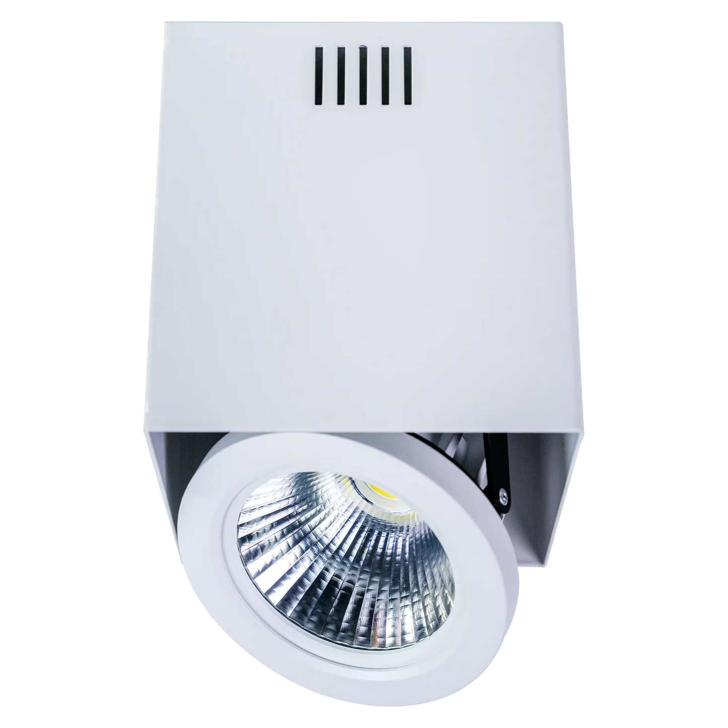 Ultralight Surface Mounted Frame AR111 - Rotatable Light Fixture (C7655)
