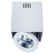 Ultralight Surface Mounted Frame AR111 - Rotatable Light Fixture (C7655)