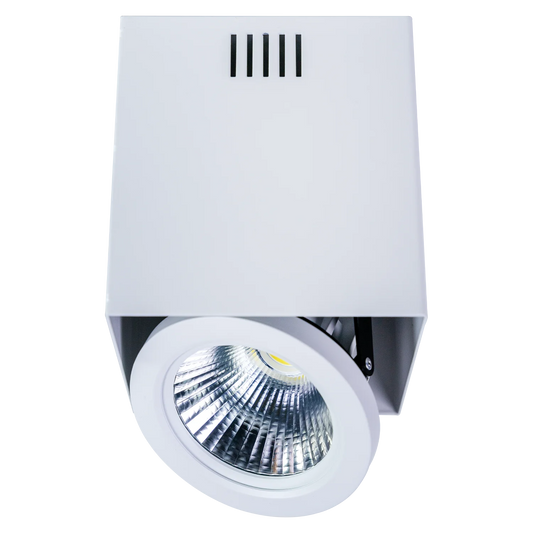 Ultralight Surface Mounted Frame AR111 - Rotatable Light Fixture (C7655)