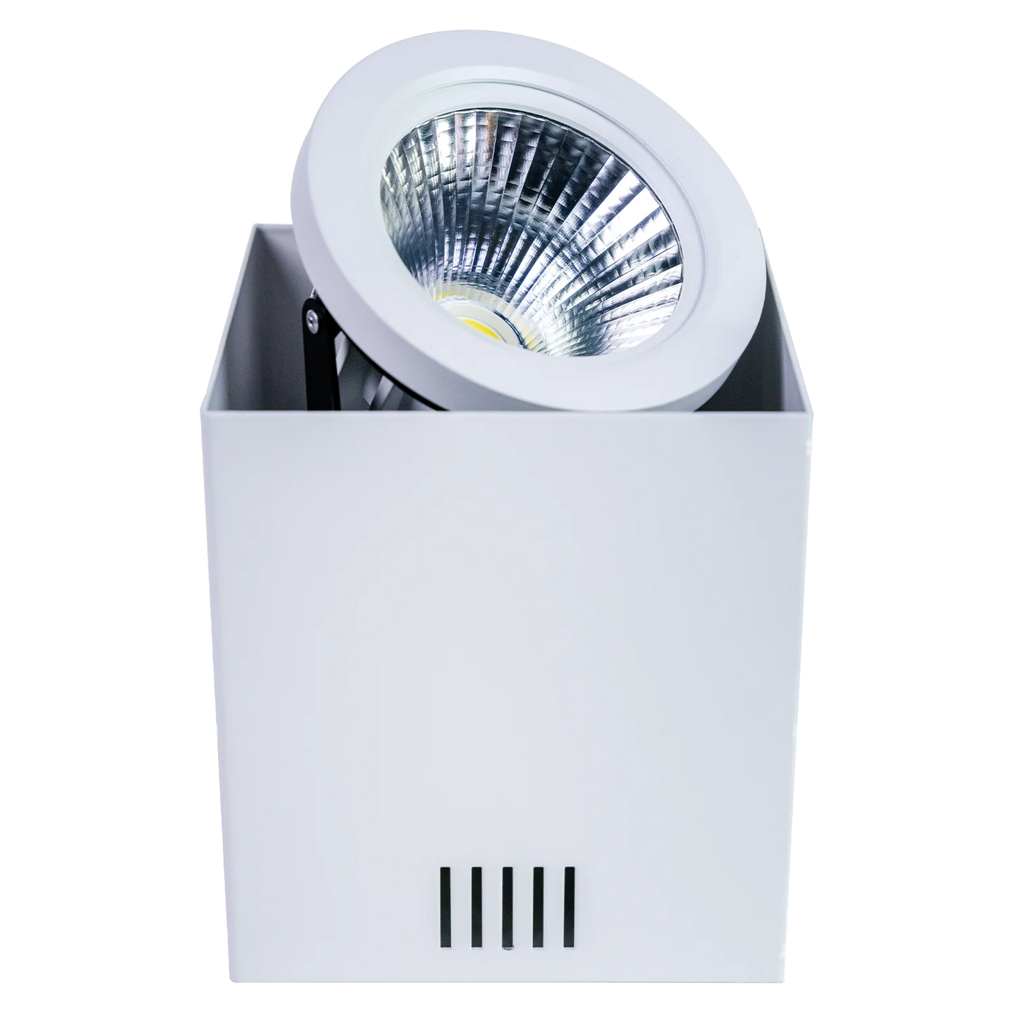 Ultralight Surface Mounted Frame AR111 - Rotatable Light Fixture (C7655)