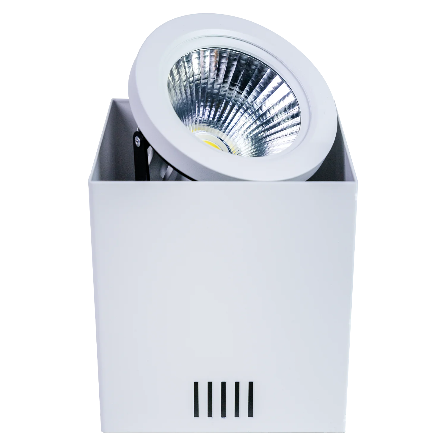 Ultralight Surface Mounted Frame AR111 - Rotatable Light Fixture (C7655)