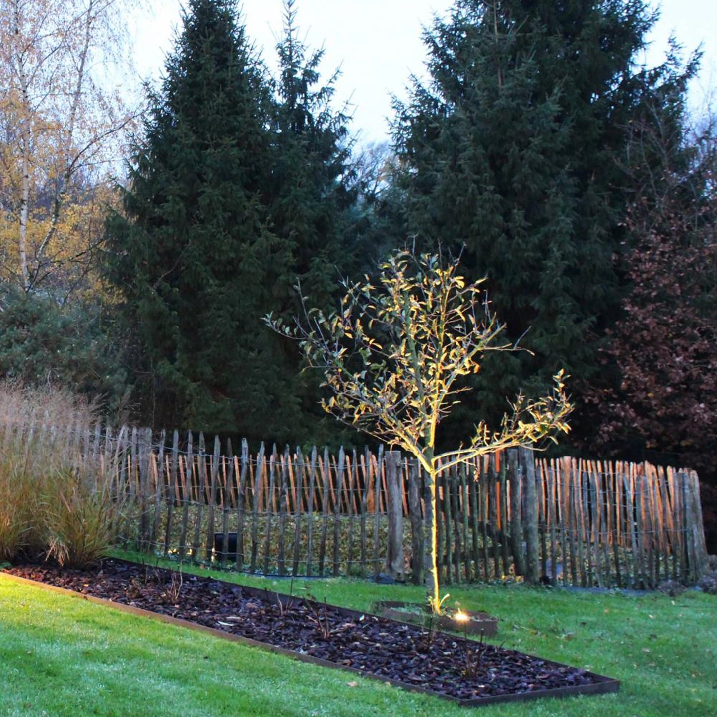 garden square light