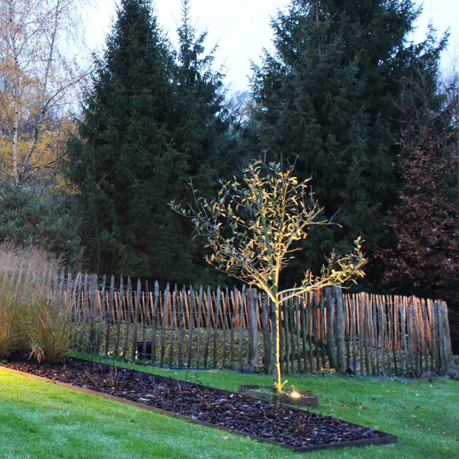 garden square light