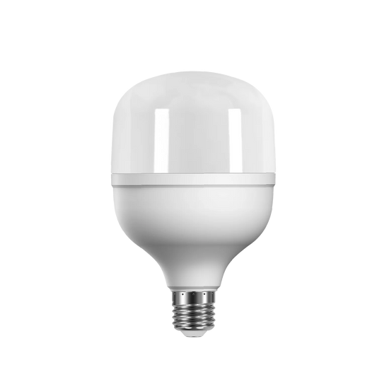 White LED light bulb on a white background