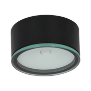 Ultralight Outdoor LED Surface Mounted IP65 (BD390)