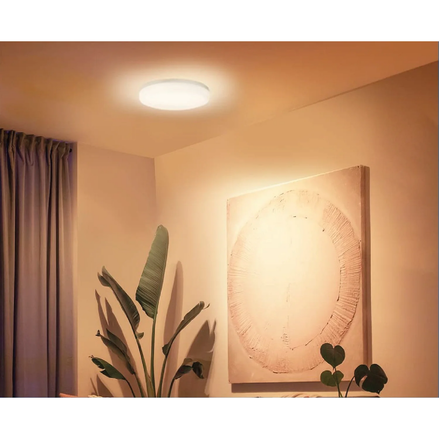 Ultralight Led Surface Mounted for Outdoor use IP66(CL All)
